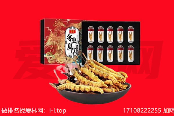 成都温江区回收虫草.jpg